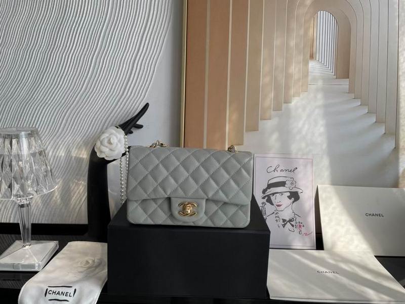 Chanel Handbags 456